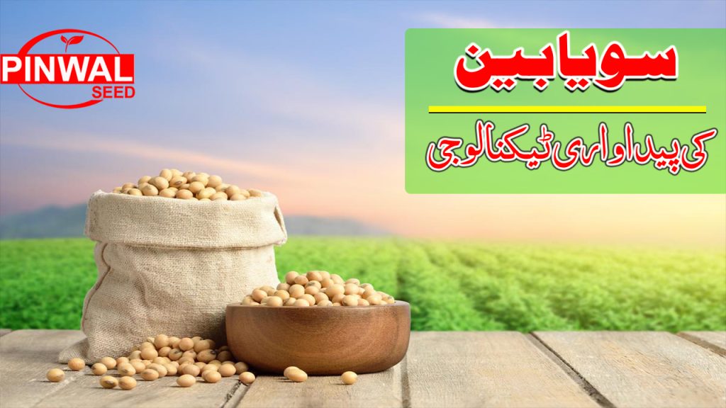 Soybean Production Plan