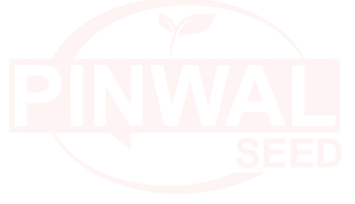 Pinwal Seed Logo