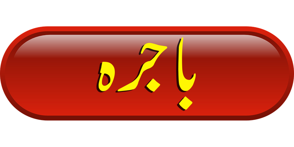 bajra